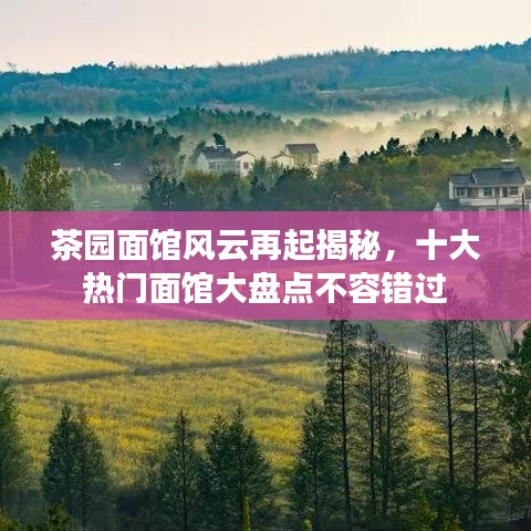 茶园面馆风云再起揭秘，十大热门面馆大盘点不容错过