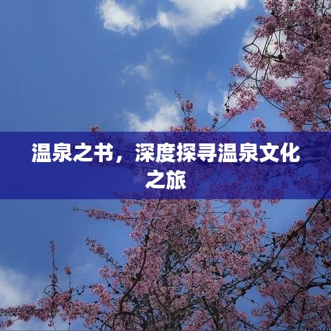 温泉之书，深度探寻温泉文化之旅