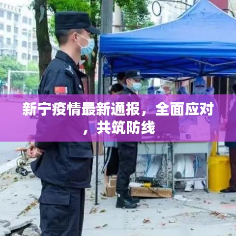 新宁疫情最新通报，全面应对，共筑防线