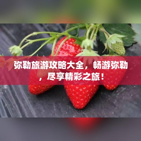 弥勒旅游攻略大全，畅游弥勒，尽享精彩之旅！