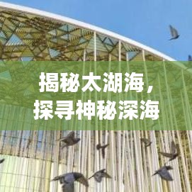 揭秘太湖海，探寻神秘深海之旅
