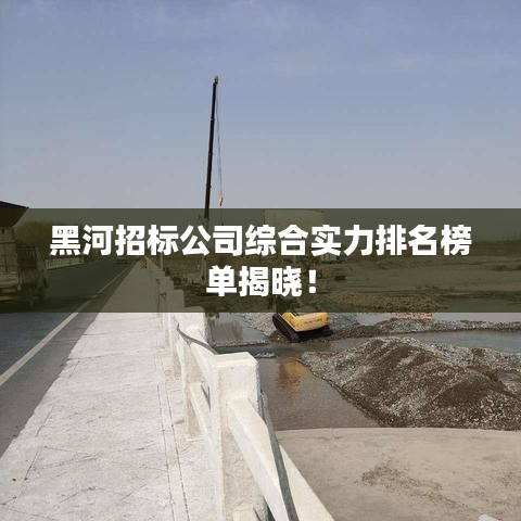 黑河招标公司综合实力排名榜单揭晓！