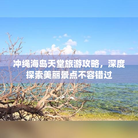 冲绳海岛天堂旅游攻略，深度探索美丽景点不容错过