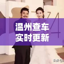 温州查车实时更新，最新消息与电话查询服务全攻略