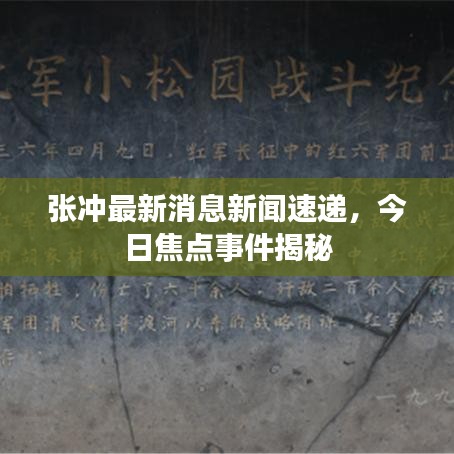 张冲最新消息新闻速递，今日焦点事件揭秘