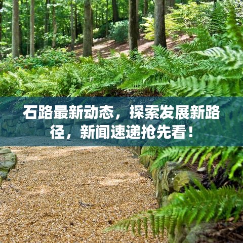 石路最新动态，探索发展新路径，新闻速递抢先看！