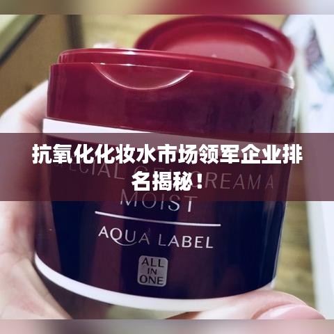 抗氧化化妆水市场领军企业排名揭秘！