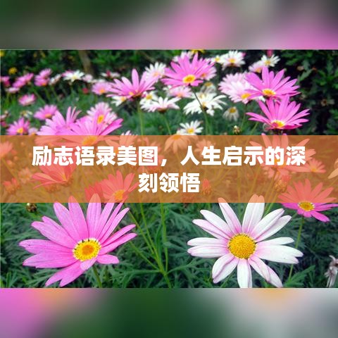 励志语录美图，人生启示的深刻领悟