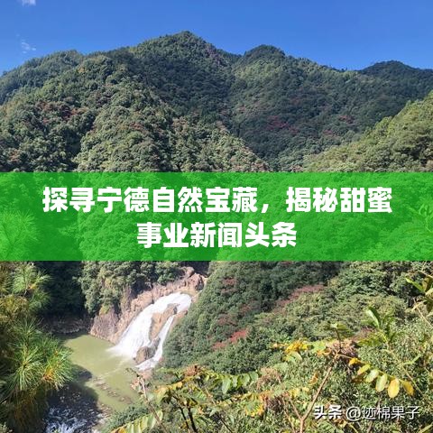 探寻宁德自然宝藏，揭秘甜蜜事业新闻头条