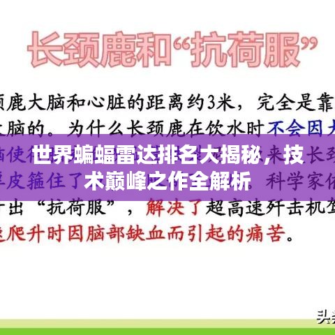 世界蝙蝠雷达排名大揭秘，技术巅峰之作全解析