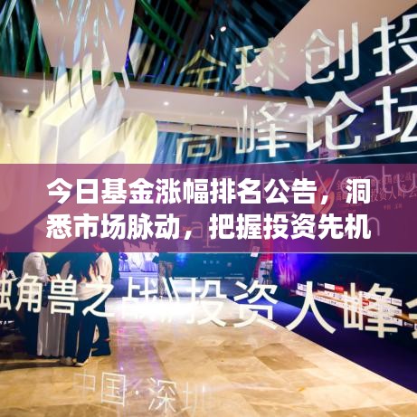 今日基金涨幅排名公告，洞悉市场脉动，把握投资先机