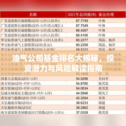 油气公司基金排名大揭秘，投资潜力与风险解读指南
