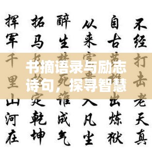 书摘语录与励志诗句，探寻智慧的熠熠火花
