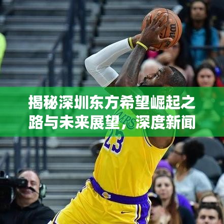 揭秘深圳东方希望崛起之路与未来展望，深度新闻头条