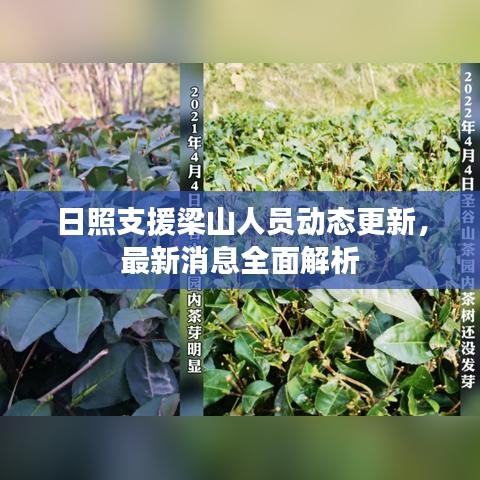 日照支援梁山人员动态更新，最新消息全面解析