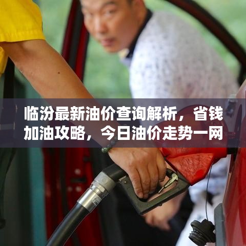 临汾最新油价查询解析，省钱加油攻略，今日油价走势一网打尽！