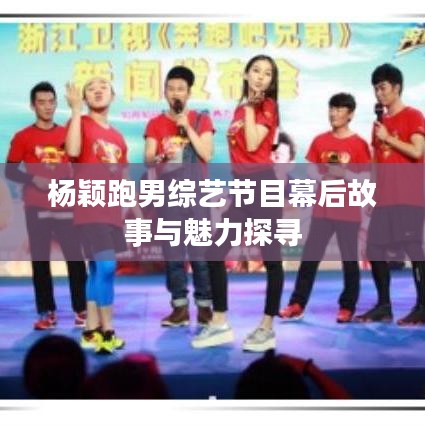 杨颖跑男综艺节目幕后故事与魅力探寻