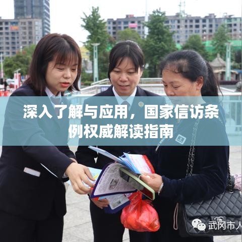 深入了解与应用，国家信访条例权威解读指南
