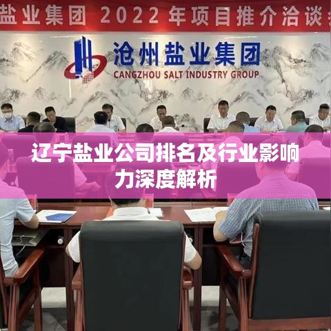 辽宁盐业公司排名及行业影响力深度解析