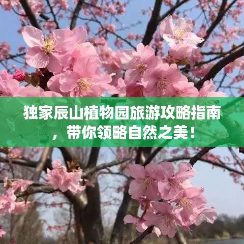 独家辰山植物园旅游攻略指南，带你领略自然之美！