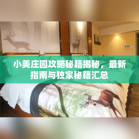 小美庄园攻略秘籍揭秘，最新指南与独家秘籍汇总