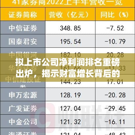 拟上市公司净利润排名重磅出炉，揭示财富增长背后的力量巨头
