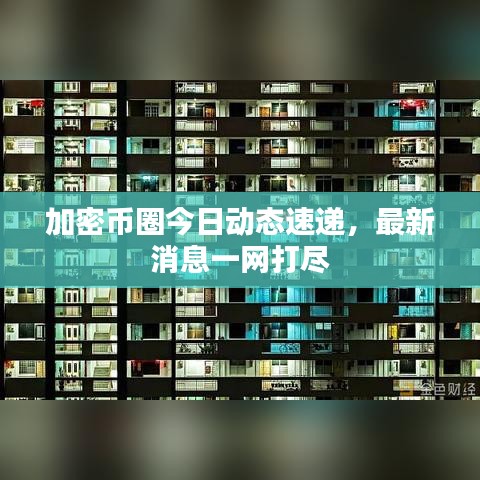 加密币圈今日动态速递，最新消息一网打尽