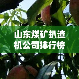 山东煤矿扒渣机公司排行榜及行业影响力深度解析