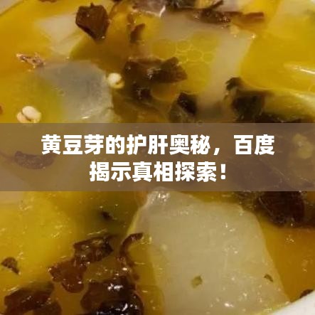 黄豆芽的护肝奥秘，百度揭示真相探索！