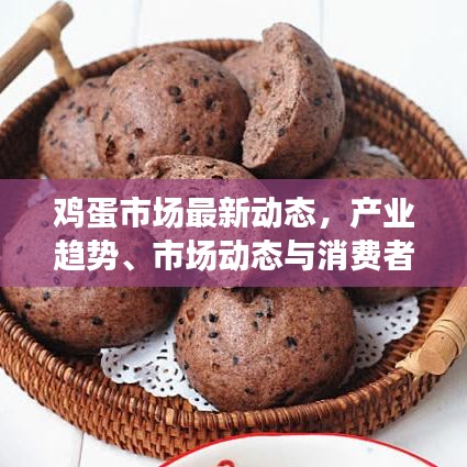 鸡蛋市场最新动态，产业趋势、市场动态与消费者关注焦点一网打尽
