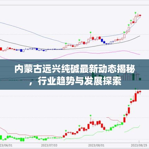 内蒙古远兴纯碱最新动态揭秘，行业趋势与发展探索