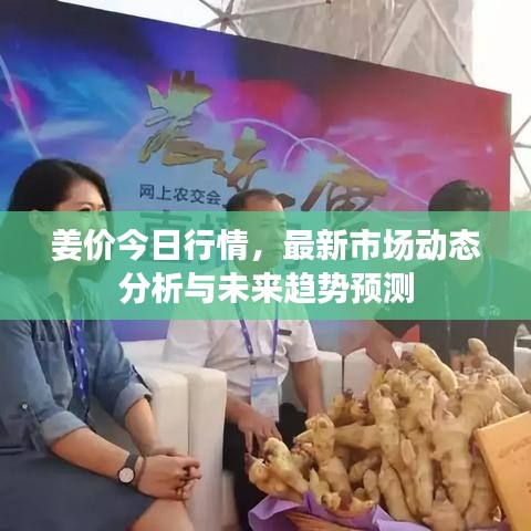 姜价今日行情，最新市场动态分析与未来趋势预测