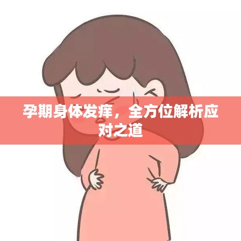 孕期身体发痒，全方位解析应对之道