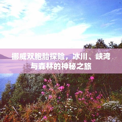 鸟惊鱼骇