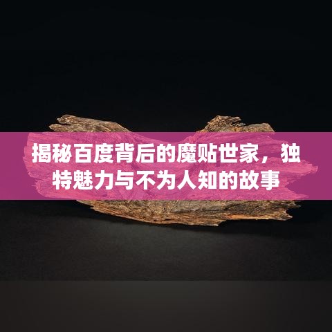 揭秘百度背后的魔贴世家，独特魅力与不为人知的故事