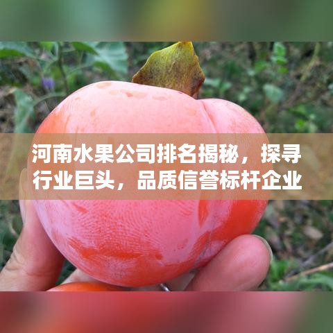 河南水果公司排名揭秘，探寻行业巨头，品质信誉标杆企业榜单