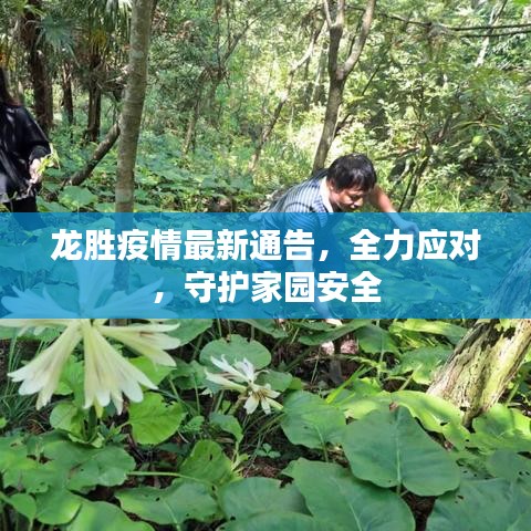 龙胜疫情最新通告，全力应对，守护家园安全