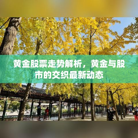 黄金股票走势解析，黄金与股市的交织最新动态