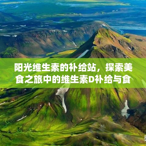阳光维生素的补给站，探索美食之旅中的维生素D补给与食物选择