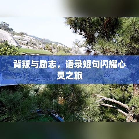 背叛与励志，语录短句闪耀心灵之旅