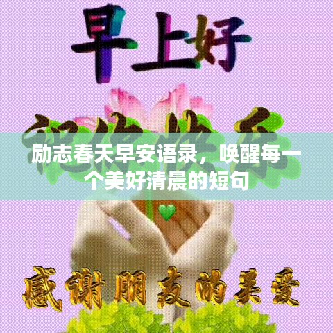 励志春天早安语录，唤醒每一个美好清晨的短句