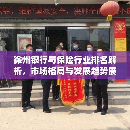 徐州银行与保险行业排名解析，市场格局与发展趋势展望