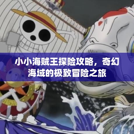 小小海贼王探险攻略，奇幻海域的极致冒险之旅
