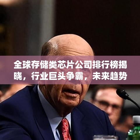 全球存储类芯片公司排行榜揭晓，行业巨头争霸，未来趋势展望