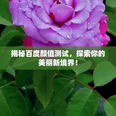 揭秘百度颜值测试，探索你的美丽新境界！