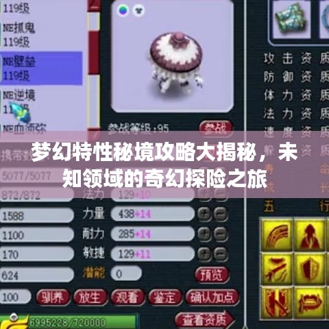 梦幻特性秘境攻略大揭秘，未知领域的奇幻探险之旅