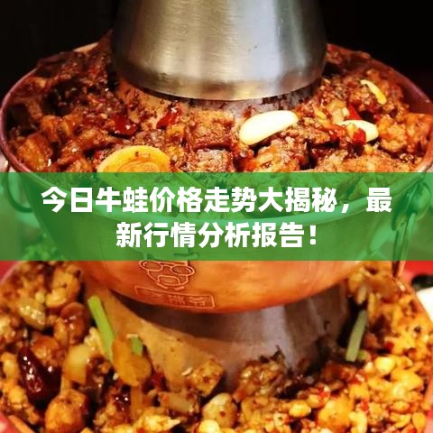 今日牛蛙价格走势大揭秘，最新行情分析报告！