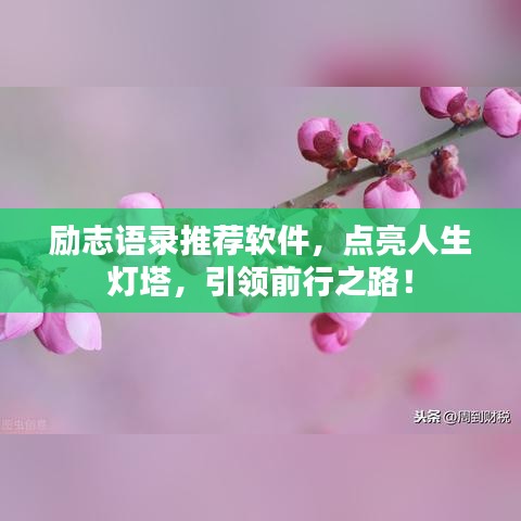 励志语录推荐软件，点亮人生灯塔，引领前行之路！