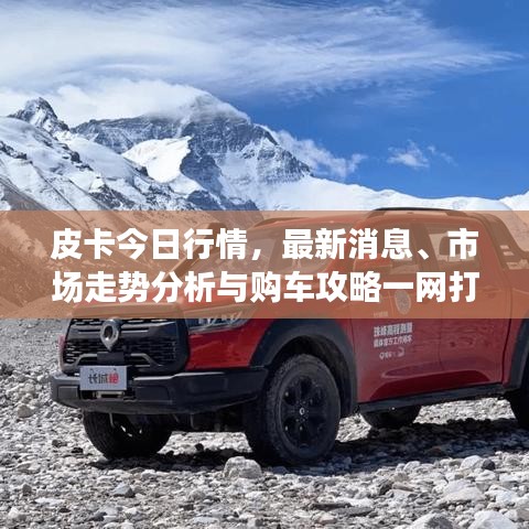 皮卡今日行情，最新消息、市场走势分析与购车攻略一网打尽！