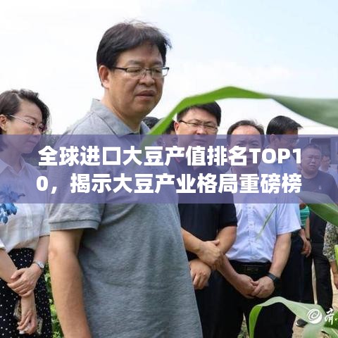 全球进口大豆产值排名TOP10，揭示大豆产业格局重磅榜单